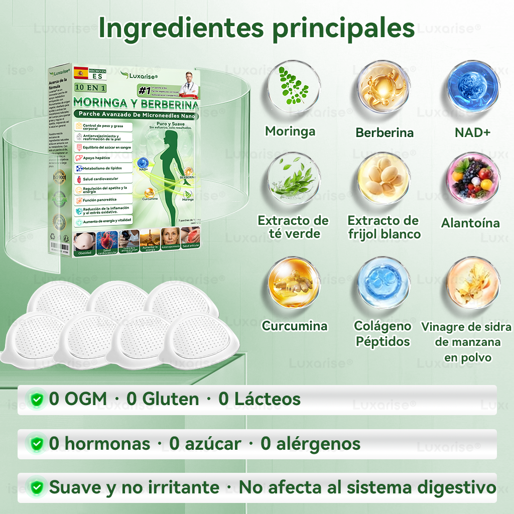 𝑳𝒖𝒙𝒂𝒓𝒊𝒔𝒆® 🍧 Moringa & Berberina 10 en 1 Parche Avanzado de Microagujas Nano (Uso diario, cambios visibles en 7 días) 👩‍⚕️ Obesidad, Diabetes, Apnea del Sueño y Problemas Articulares